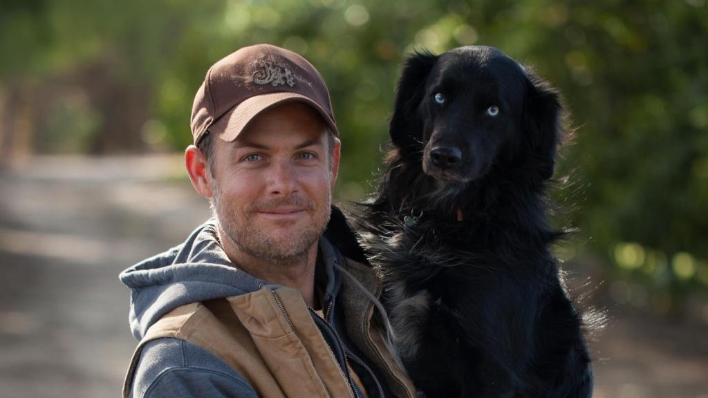 Film & Filosofie | Zinvinding